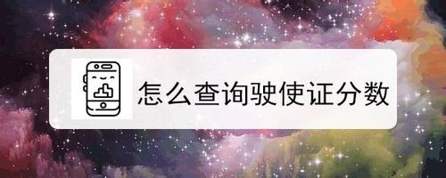 经验分享如何查询驶使证分数。