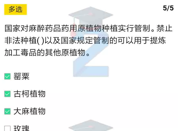 经验分享2019青骄第二课堂高二禁毒答案是什么。
