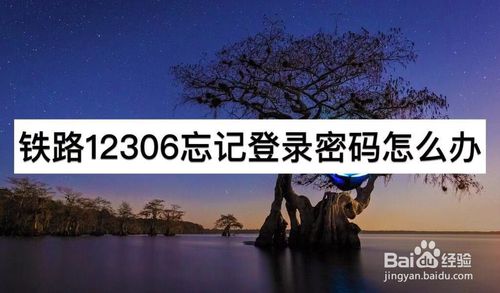 经验分享铁路12306忘记登录密码如何解决。