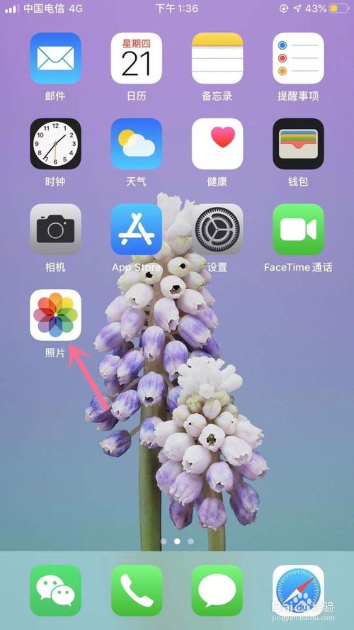 经验分享iPhone怎么设置喜欢图片为壁纸。