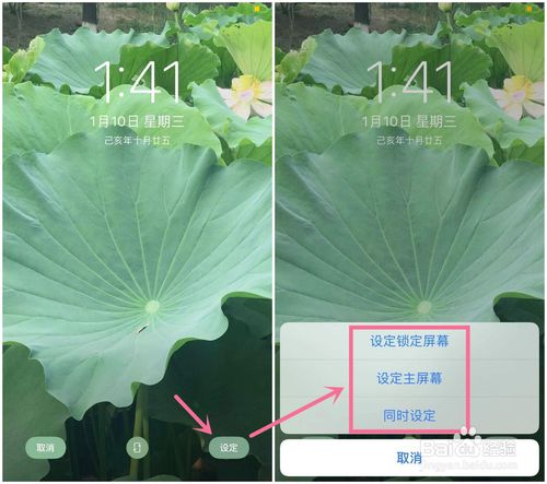 经验分享iPhone怎么设置喜欢图片为壁纸。