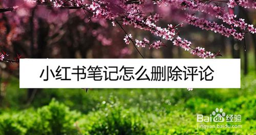 经验分享小红书笔记如何删除评论。