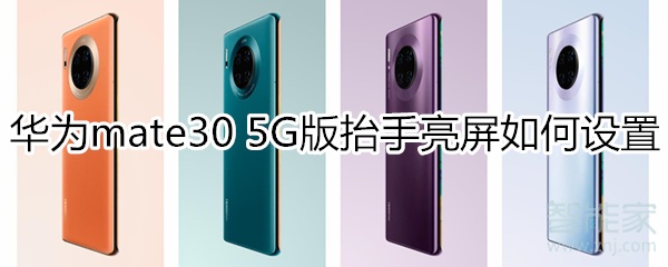 经验分享mate30 5G版抬手亮屏怎么设置。