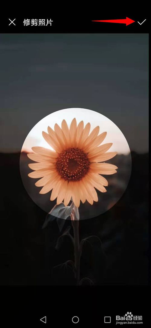 经验分享怎么更换今日头条用户头像。