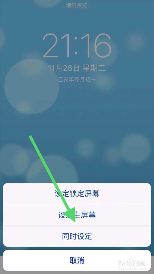 经验分享iphone11怎么设置动态壁纸。