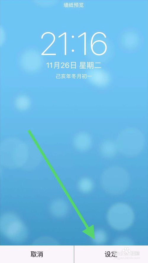 经验分享iphone11怎么设置动态壁纸。