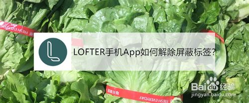 经验分享LOFTER手机APP怎么解除屏蔽标签。