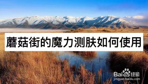 经验分享蘑菇街的魔力测肤怎么使用。
