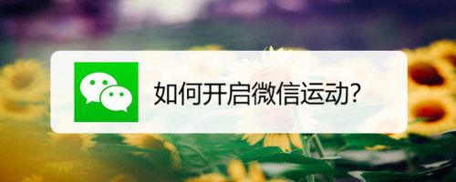经验分享微信运动怎么打开。