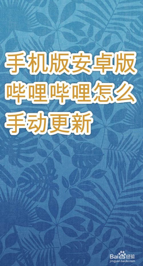 经验分享手机版安卓版哔哩哔哩如何手动更新。
