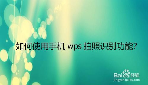 经验分享怎么使用手机wps拍照识别功能。