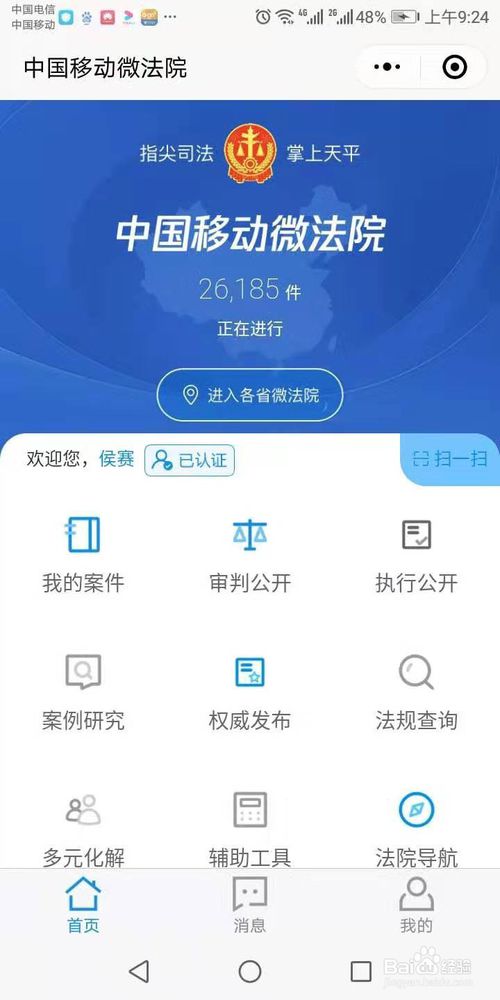经验分享网上如何查询个人案件。