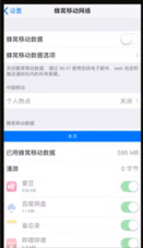 经验分享iphone如何设置增量下载。