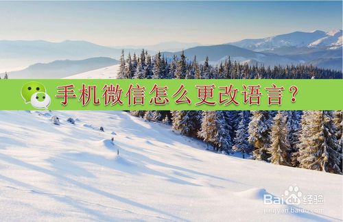 经验分享手机微信如何更改语言。