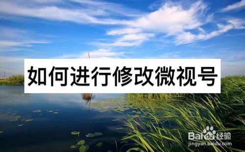 经验分享怎么进行修改微视号。