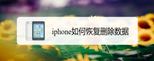 经验分享iphone怎么恢复删除数据。