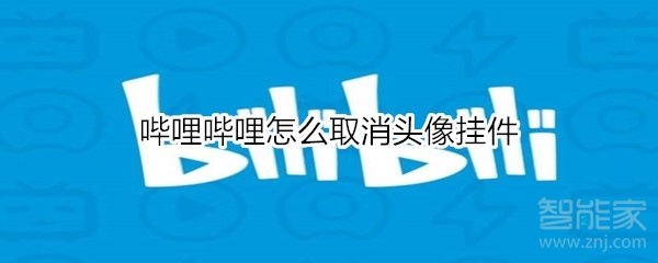 经验分享哔哩哔哩头像挂件如何取消。