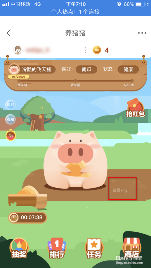 经验分享京东金融养猪猪怎么玩。