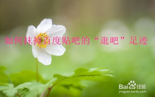 经验分享百度贴吧怎么删掉浏览记录。