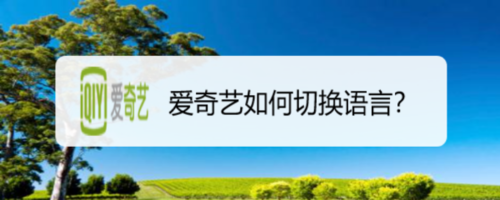 经验分享爱奇艺怎么切换语言。