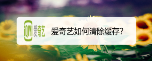 经验分享爱奇艺怎么清除缓存。