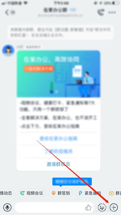 经验分享钉钉在哪设置美颜。