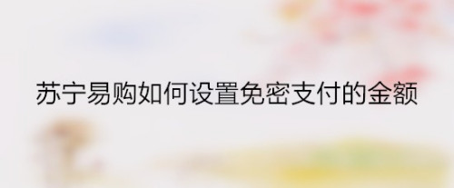 经验分享苏宁易购怎么修改免密支付金额。