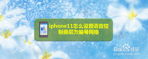 经验分享iPhone11设置语音控制叠层为编号网络图文我来说说。