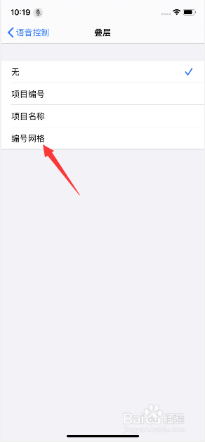 经验分享iPhone11设置语音控制叠层为编号网络图文我来说说。