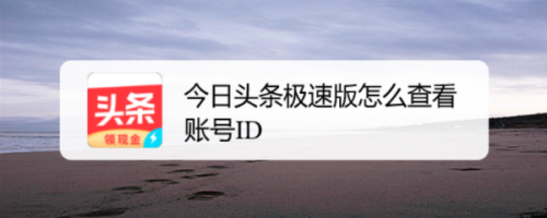经验分享今日头条极速版账号ID在哪看。