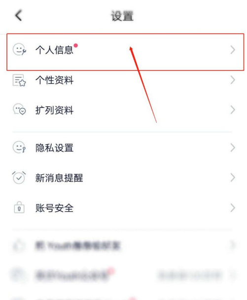 1602324591412729.png 经验分享Youth怎么更改Youth号。
