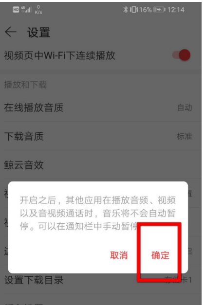 网易云音乐怎么开启与其他应用同时播放