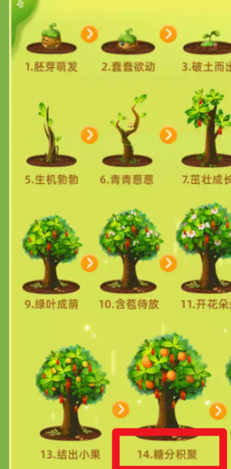 1602489004316409.png 经验分享支付宝芭芭农场果树生长阶段查询教程我来说说。