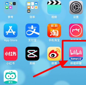 哔哩哔哩设置双列首页推荐教程介绍