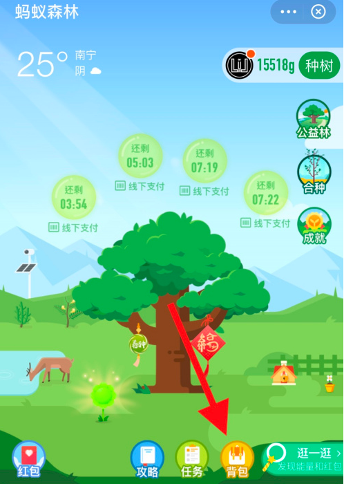 1602740422103797.png 经验分享支付宝蚂蚁森林怎么添加装扮。