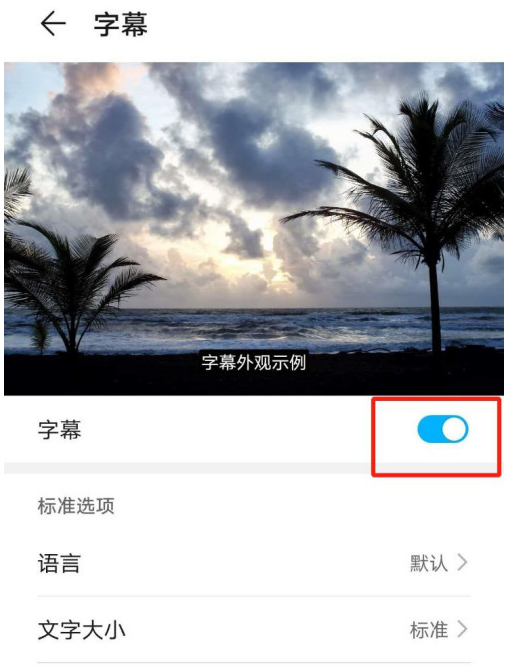 1604204665609369.png 经验分享华为mate40怎么设置字幕语言为Eesti。