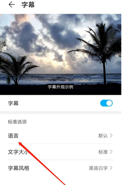 1604204674595072.png 经验分享华为mate40怎么设置字幕语言为Eesti。