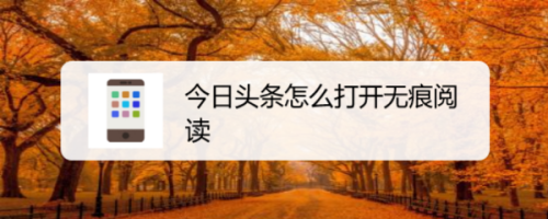 经验分享今日头条如何开启无痕阅读。