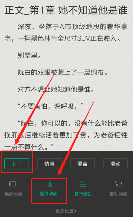 经验分享熊猫看书怎么设置上下滑动翻页。