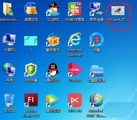 借助cad临摹小鸟图片的操作方法。