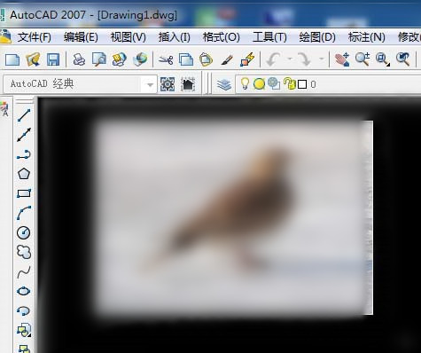借助cad临摹小鸟图片的操作方法。