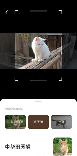 夸克浏览器AI相机怎么使用。