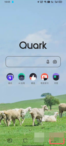 夸克浏览器标记广告怎么解除。