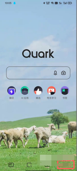 夸克浏览器如何取消标记广告。
