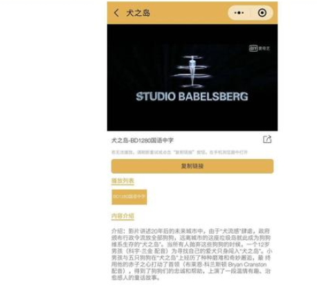 看视频只会到处找网站
