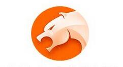 猎豹浏览器设为迅雷下载的图文操作。