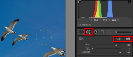 lightroom污点去除功能使用过程介绍。
