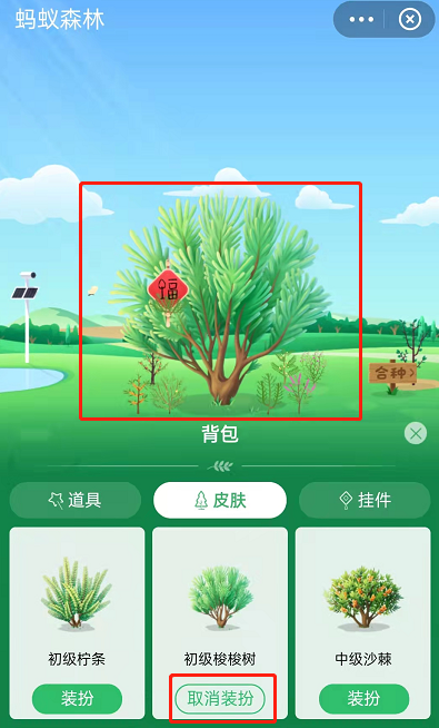蚂蚁森林如何获取已种树永久皮肤。