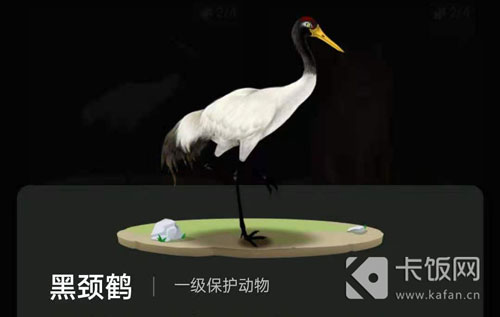 蚂蚁森林巡护动物怎么召回。