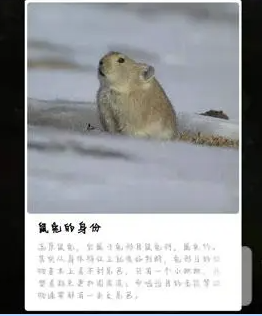 蚂蚁森林保护地巡护答案。